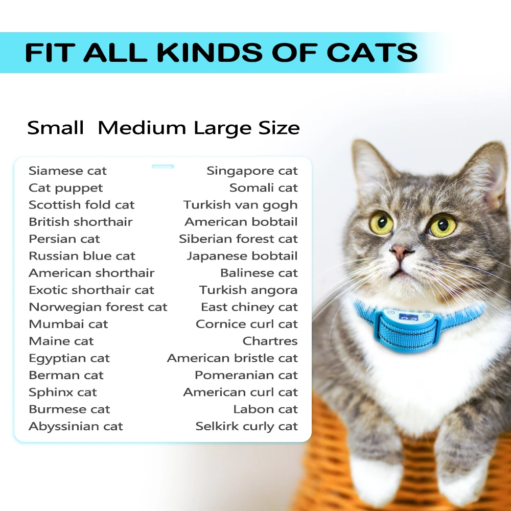 shock collar for cats to stop meowing