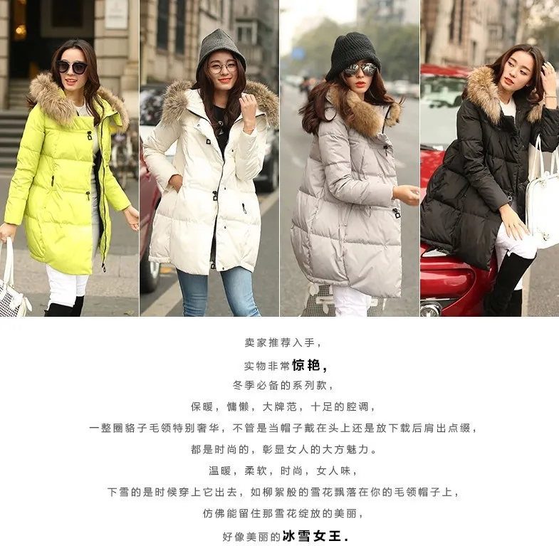 3368024120_903308732