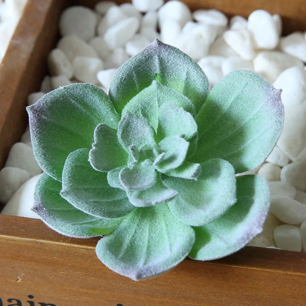 Decorative Flowers & Wreaths Simulation Succulents Flocking Small Fake
