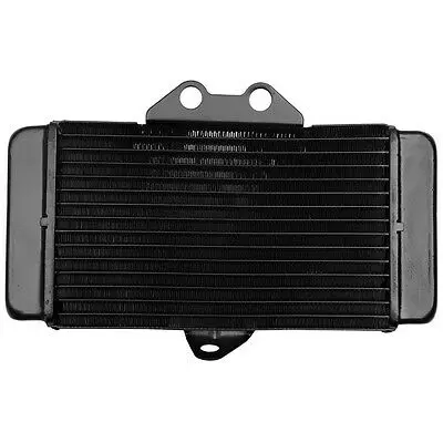 Мотоцикл радиатор охлаждения для Honda VTR250 VTR 250 1997-2007