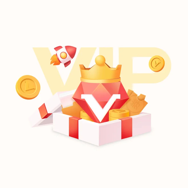 

Slicer VIP