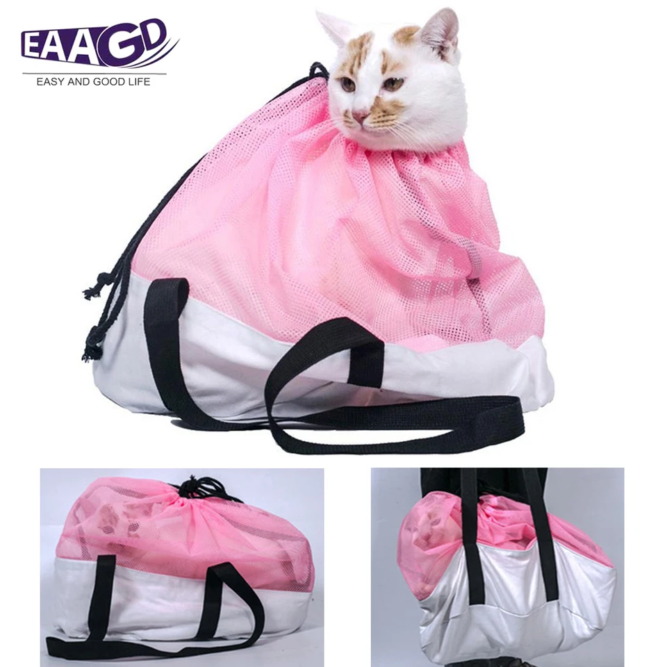 cat holding backpack