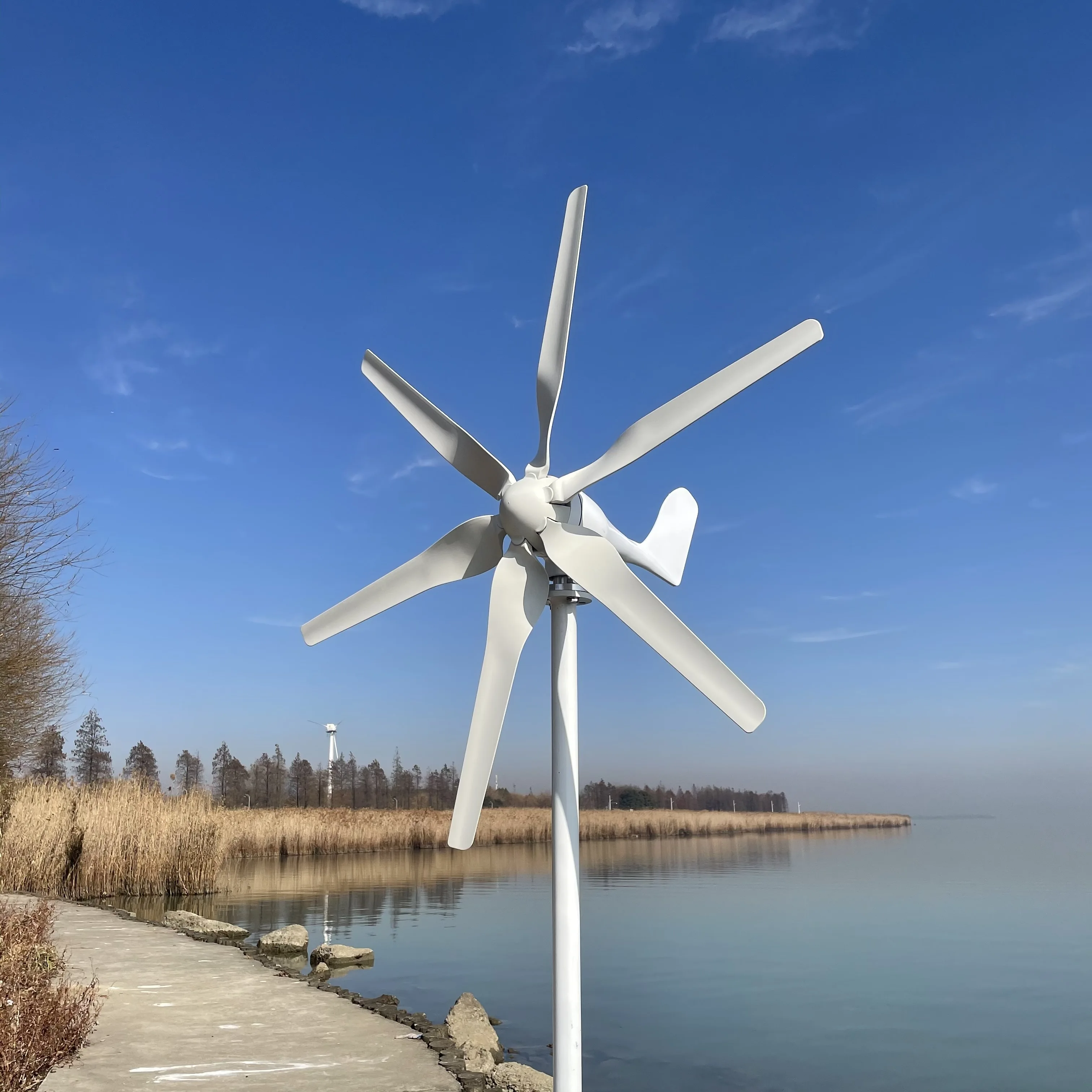 風力タービン800w 12v 24v 48v,6ブレードmpptコントローラー,家庭用小型風力発電機|Alternative Energy  Generators| - AliExpress