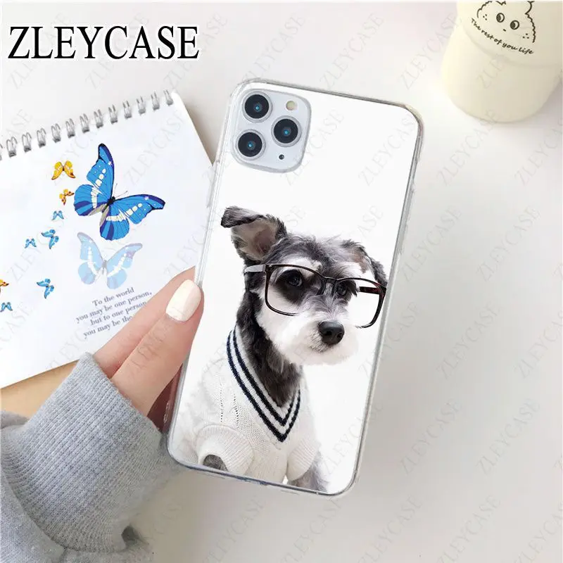 Miniature schnauzer puppy dog