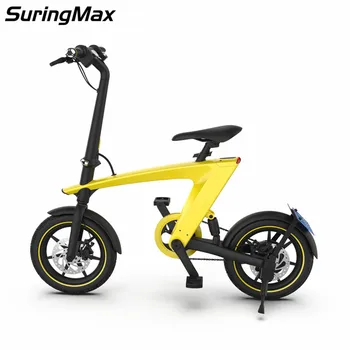 

14 Inch Fingerprint Unlock E-bike, With Removable 10AH battery 36V 250W Mini Electric Bicycle/