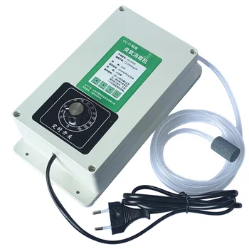 

2000mg/h Air Water Sterilizer Purifier Ozone Generator Machine with 60 minutes Timer for Fruits vegetables meat Food