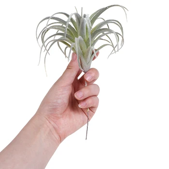 1pc Artificial Pineapple Grass Air Plants Fake Flowers As Home Wall Decoration