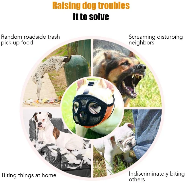 1 - 61M1IFwrbAL._AC_SL1001_