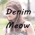 Denim Meow MooNiche Store