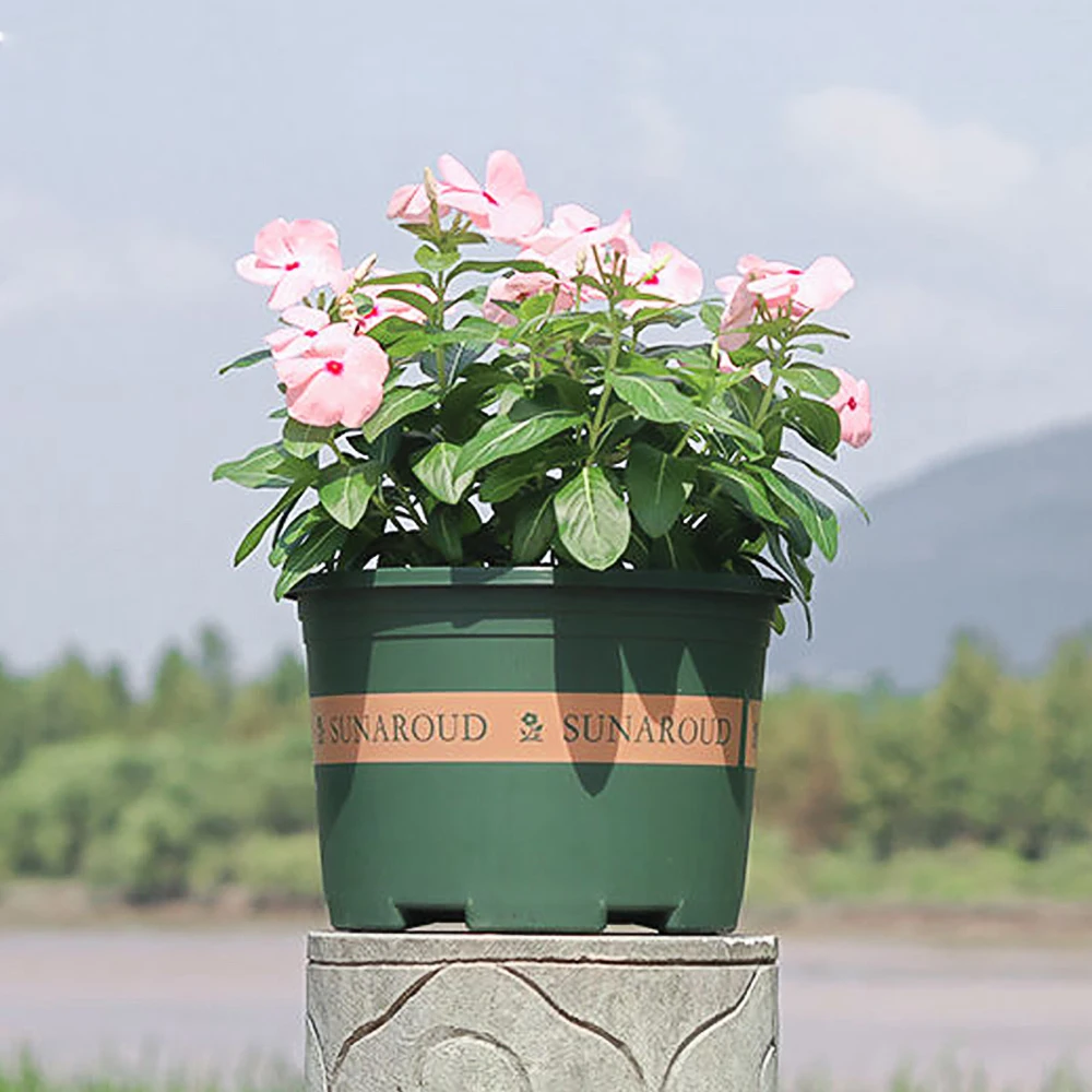 

Plant Pot Protection Gallon Succulent Pot Balcony Green Rose Flower Round Large Plastic Resin Plant Pots Succulents Plants