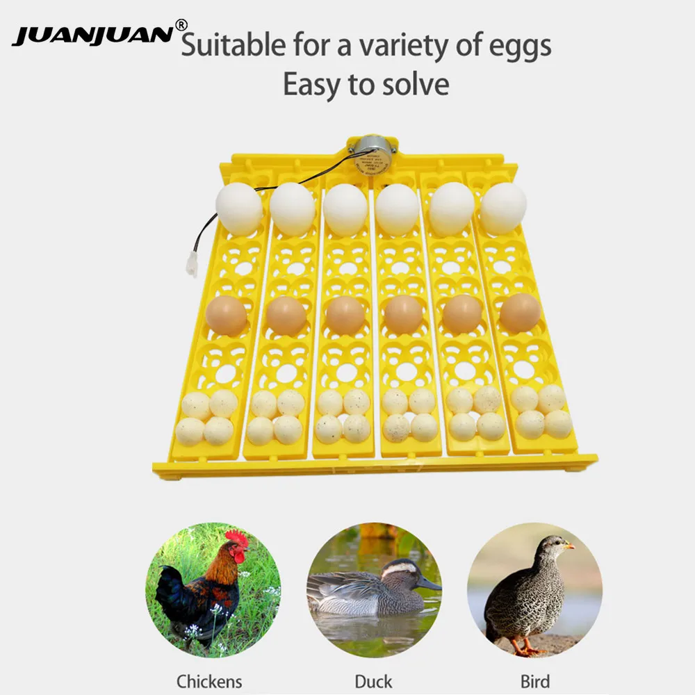 Incubator Eggs Turner