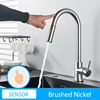 Sensor-Brush Nickel