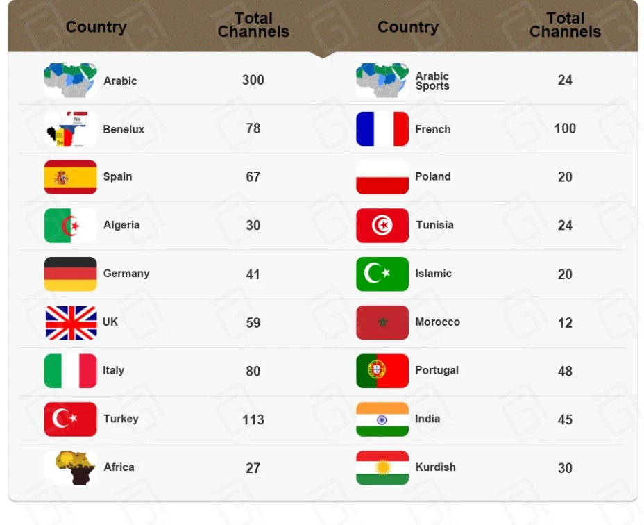 X96M Android 9.0 tv box French IPTV subscription channel FHD 1300Live IPTV France Spain Belgium Arabic IPTV M3u smart tv box