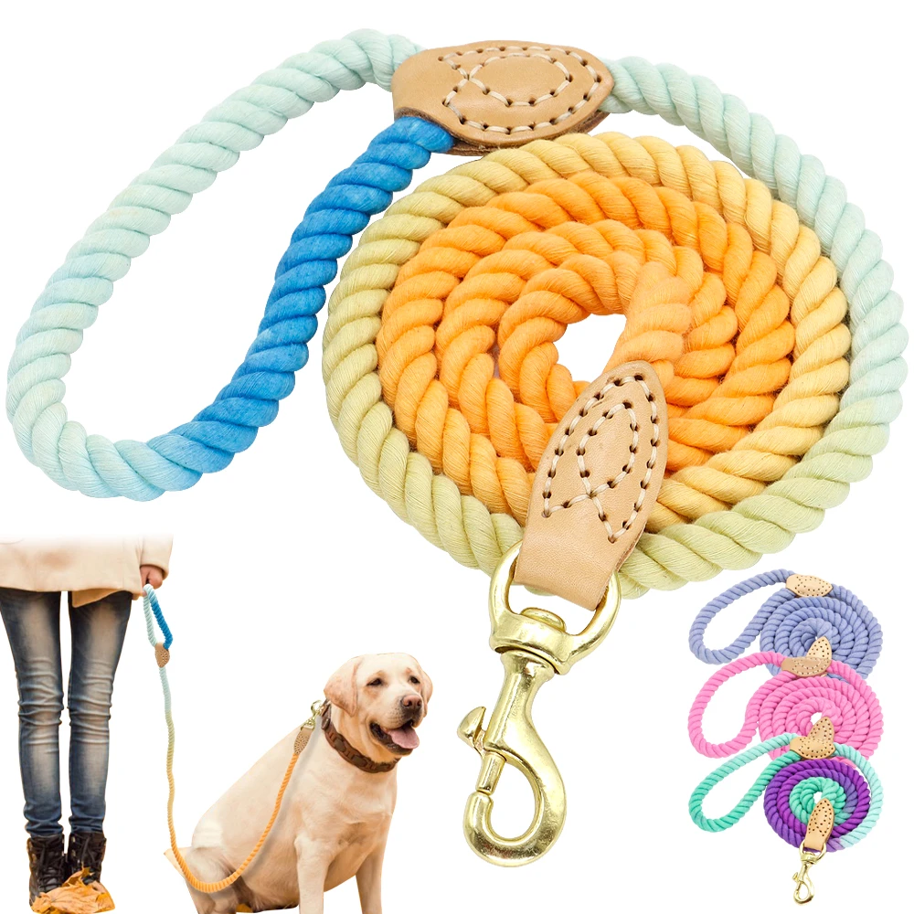 long dog training lead pets at home,Save up to