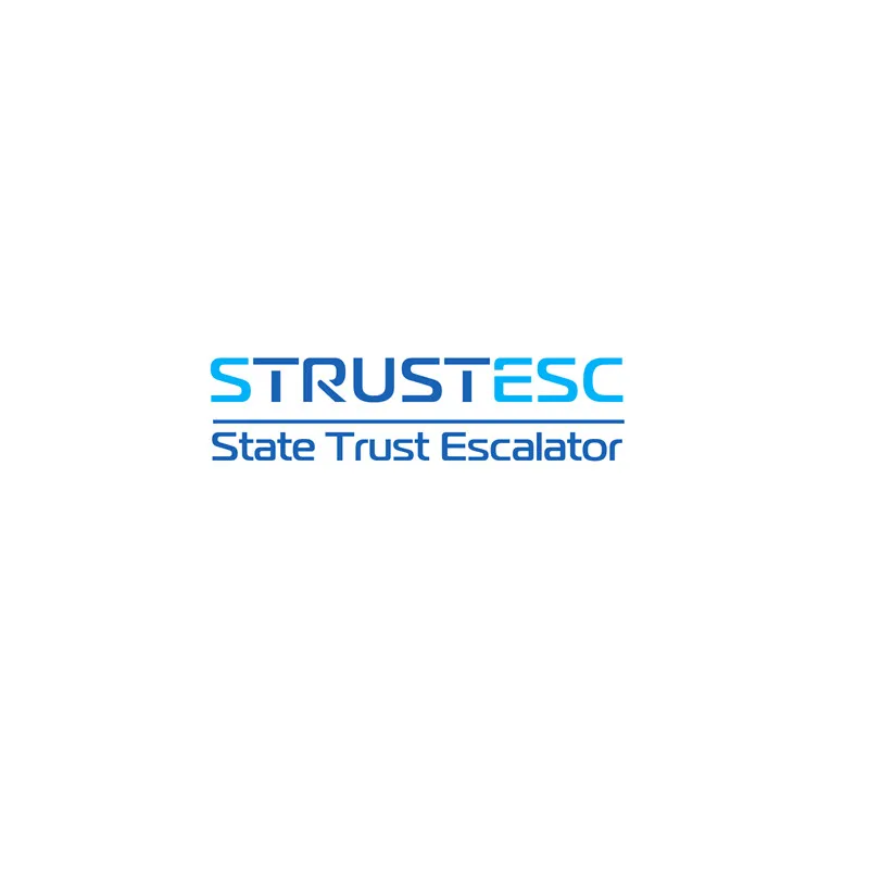 Elevator Escalator Spare Parts STRUSTESC Payment Link for Customer