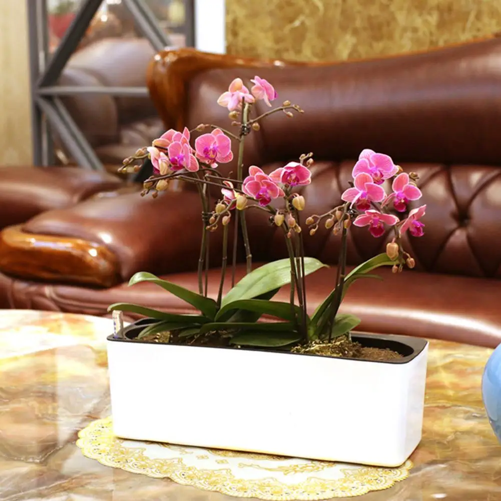 High Quality Automatic Water Absorption Flowerpot Succulent Plant Desktop Potted Green Plant Water Absorption Flowerpot