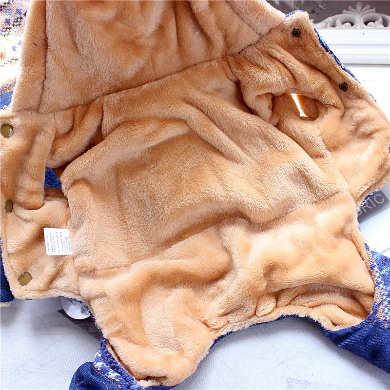 Новинка 2015 дизайнерская брендовая одежда для питомцев собак с короной