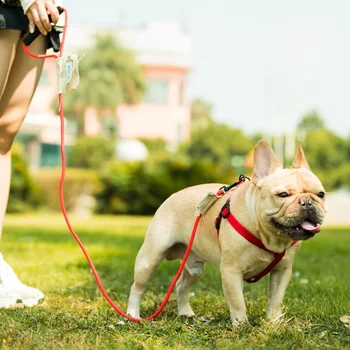 

dog leash running walk train for large small cat pets Leashes dogs leash rope nylon Tenacity 7 colors 3 sizes