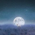 HI Night Store