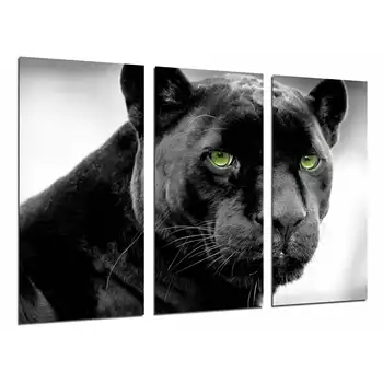 

Panther, Jaguar, Feline, Wild Animal, photo print on wood, modern picture decorative 26703