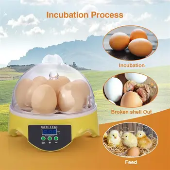 

7 Eggs Turning Incubators w/Auto Temperature Control For Poultry Incubation Chicken Goose Duck Eggs Egg Holders AU/US/UK/EU PLUG