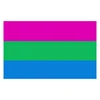 free  shipping  xvggdg  rainbow Flags  90x150cm   LGBTQIA Ace Community nonsexuality Asexuality asexual pride Flag ► Photo 3/4