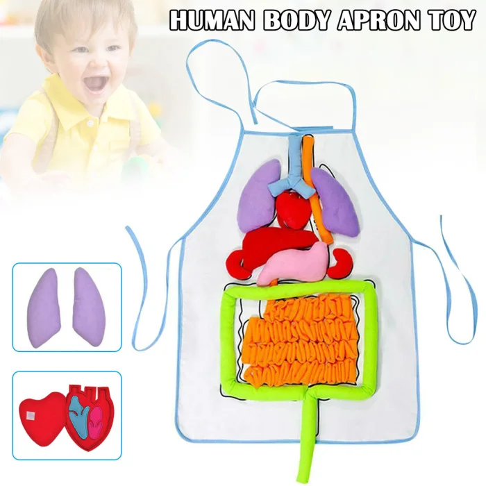 Детский образовательный фартук, анатомический фартук для человеческого тела, образовательный фартук PI669