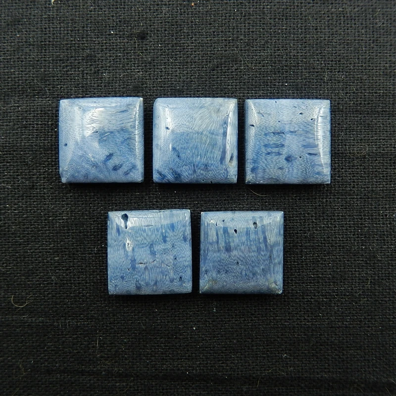 Оптовая продажа 5 шт. натуральный камень Голубой Коралловый Кабошон Установка 16х6