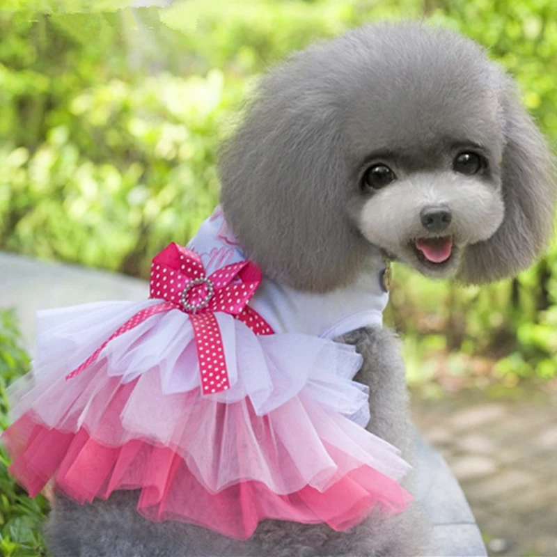 Vestidos para perros pequeños, ropa para perros pequeños, princesa dulce para primavera y vestido de encaje multicapa para perros pequeños, vestido rosa con lazo y corazón|Faldas de perro| -