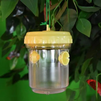 

2pcs Wasp Trap Fruit Fly Flies Insect Fly Catcher Reusable Hanging Honey-Trap Catcher No-Poison Trap Bottle Fly Killer Fly Trap
