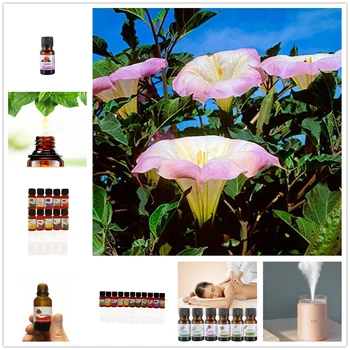 

Wholesale 10ml Organic Bauhinia Essential Oils for Aromatherapy Diffusers Body Relaxing Sleep Aid Aromatherapy Essential Oils TS