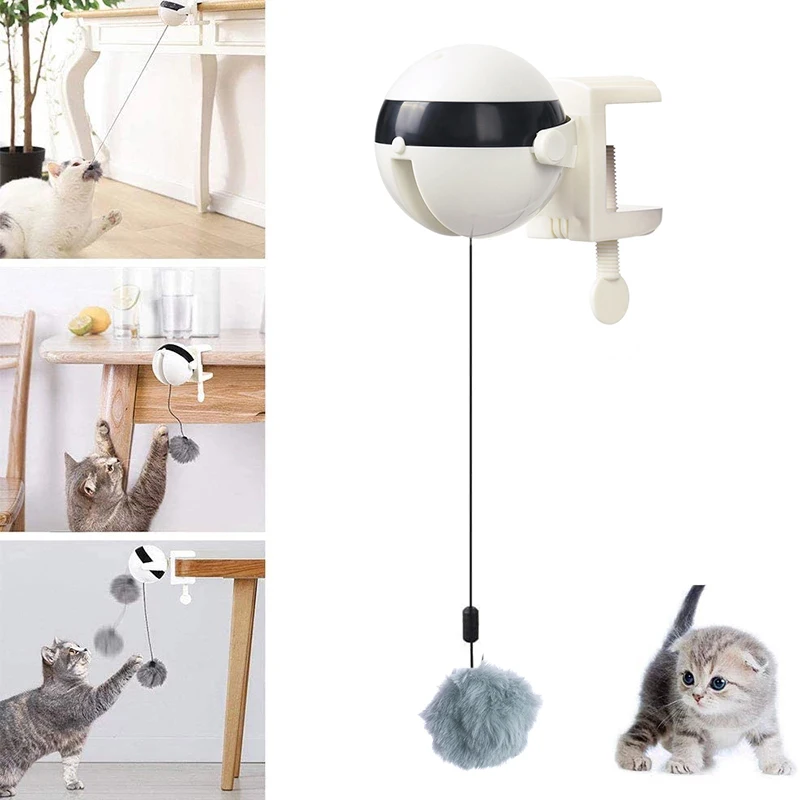 Balle Automatique Pour Animaux Prix Light