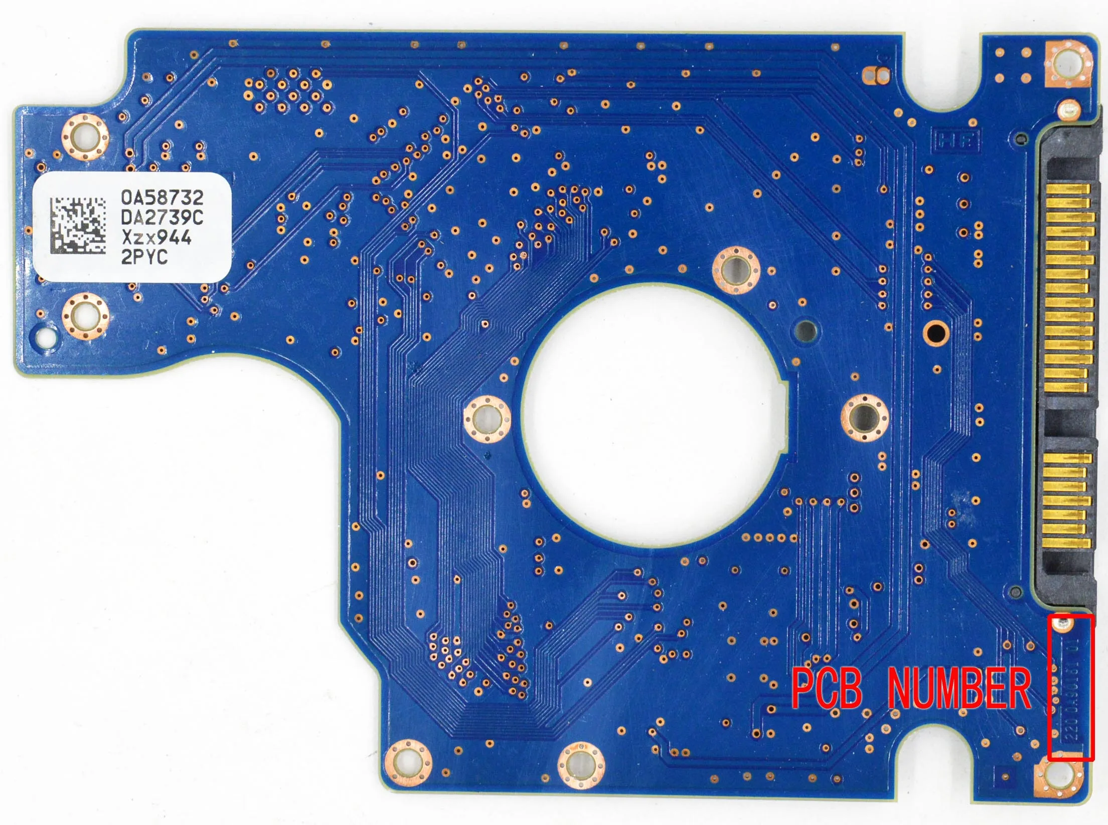 Hart CIRCUIT ST SP 156cm デモ板中古品 Yahoo!オークション -「hart circuit」(スキー) (スポーツ別)の