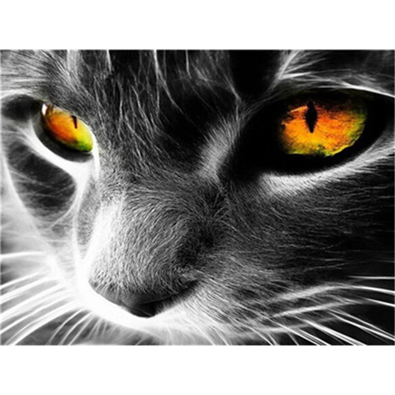 Frame Cat Diy Painting By Numbers Animals Acrylic Coloring Paint On Canvas Hand Painted Oil For Gift |