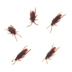 5 x jouet en plastique pour blague et blague, insecte, amusant, nouveauté, ressemblant à un faux jouet en plastique, nouveauté 