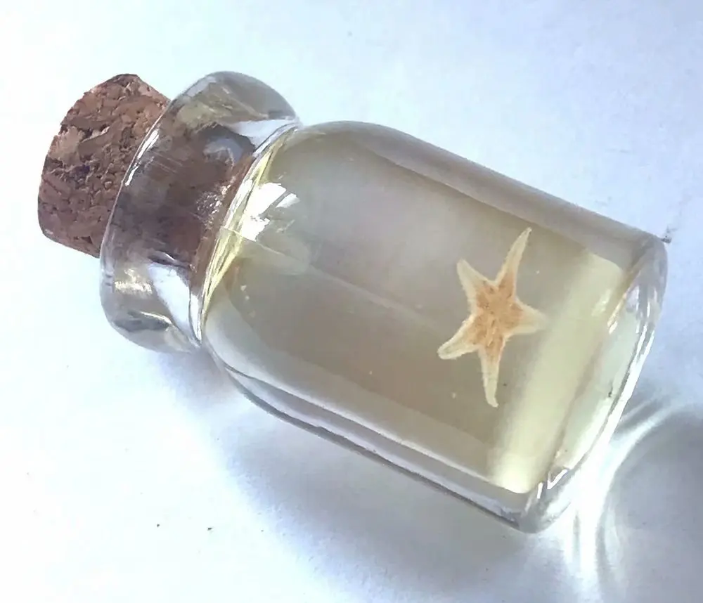 

12 pcs Drifting bottle star fish glow in dark bottom