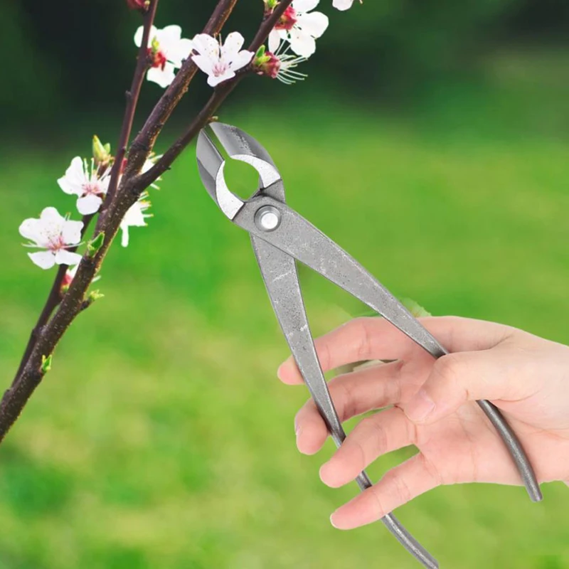 

210mm 8 inch Garden Branch Cutter Forged Steel Round Edge Beginner Scissors Cutter Knife Bonsai Tools Garden Tree Cutter