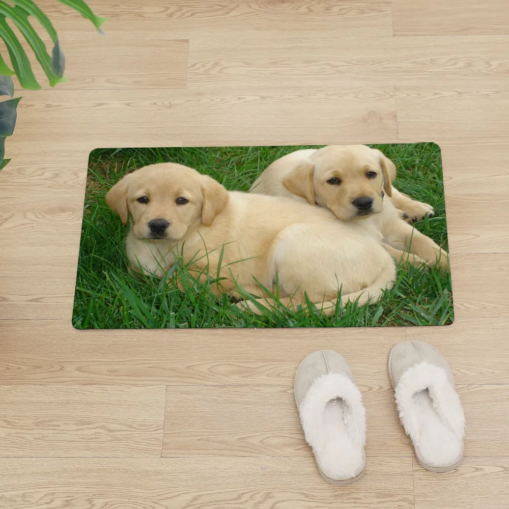 Лабрадор Pet Dog входная дверь коврики для кухни для пола Придверный коврик для улицы нескользящий ПВХ коврик для дома КОВРИК КОВРЫ в прихожую