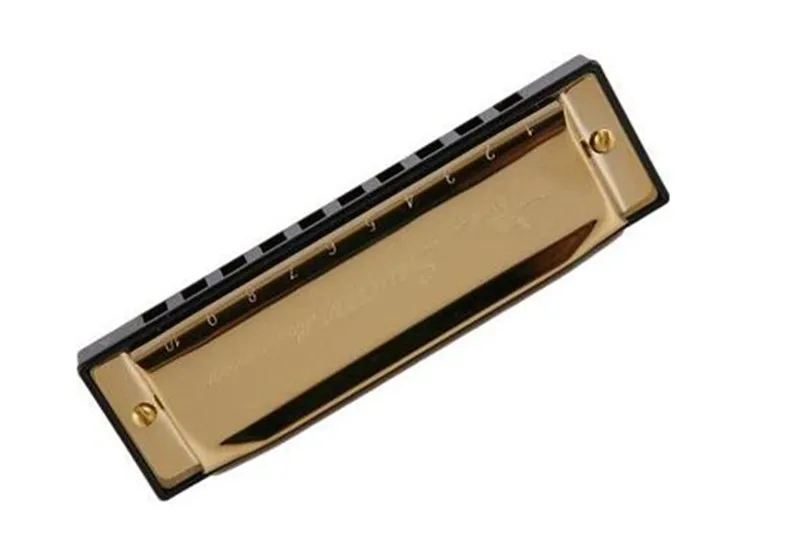 12 шт./компл. лебедь 10 отверстий Harmonica Diatonic Blues Арфы A/B/C/D/E/F/G/A#/C#/D#/F#/G# Ключ рта Органы упаковка Золотая с подарочной коробкой