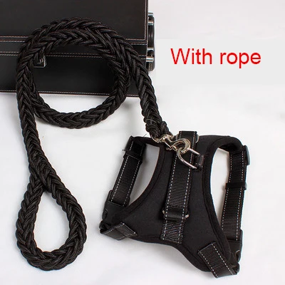 8123975368_1648768732