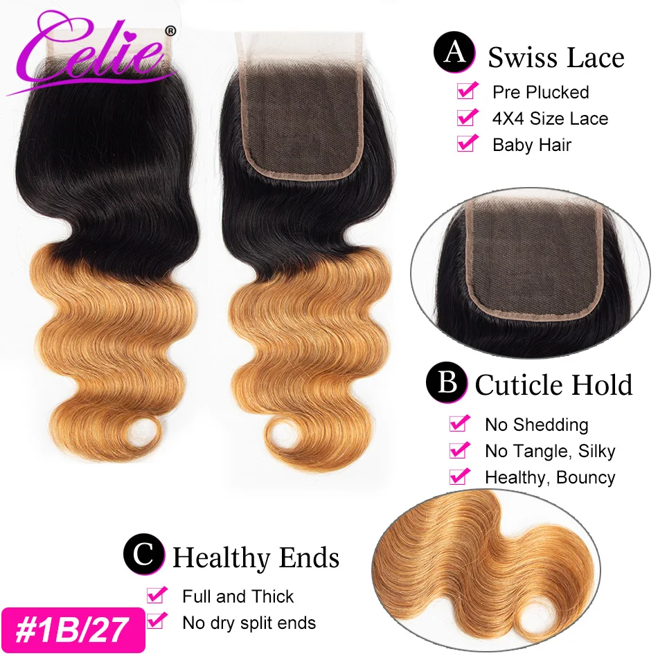 Tinashe-4x4-Lace-Closure-1B-27-30-Red-Burgundy-Honey-Blonde-Ombre-Brazilian-Body-Wave-Human-(1)