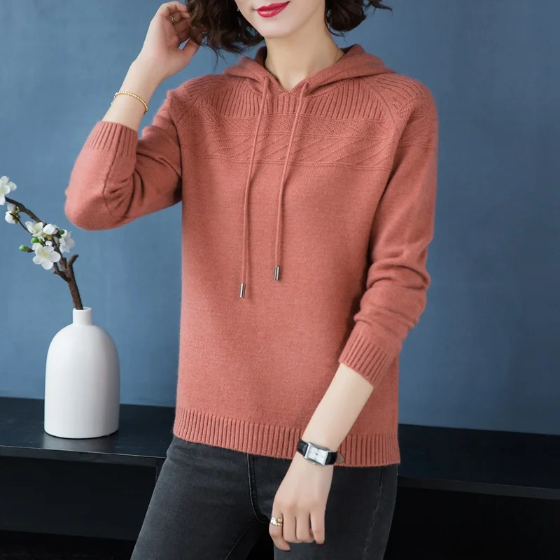 Cashmere Knitted Jumpers Woman Sweater Hooded Korean Style Hot Sale Fashion Pullover Female Woolen Knitwear Clothes Tops AA5079 - Цвет: 1