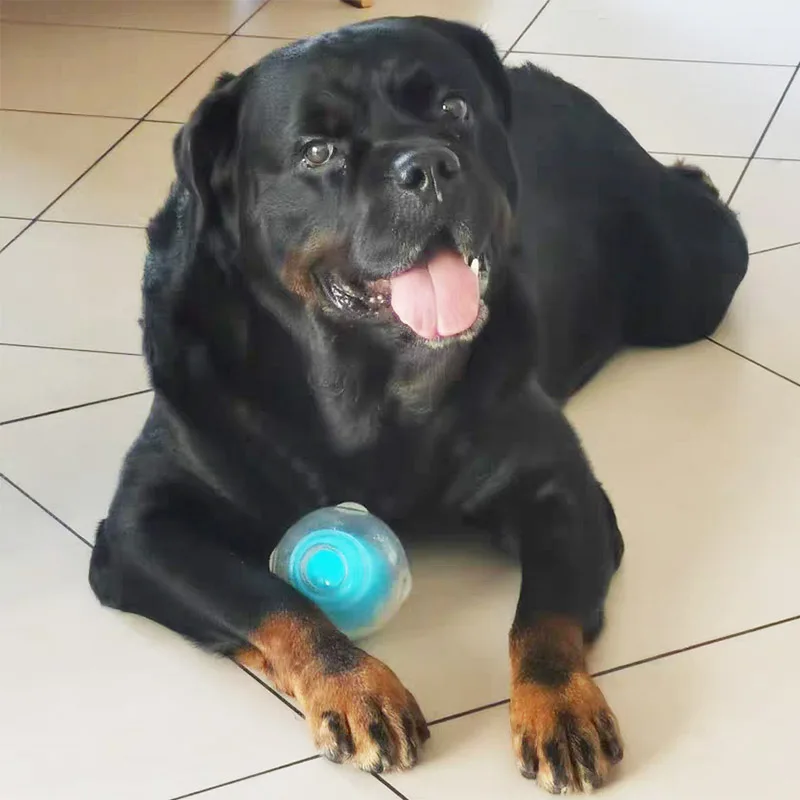 CAITEC Dog Toy Amazing Squeaker Ball Durable Floatable Springy Bite Resistant Best for Tossing Chasing Foraging Medium Large Dog 3