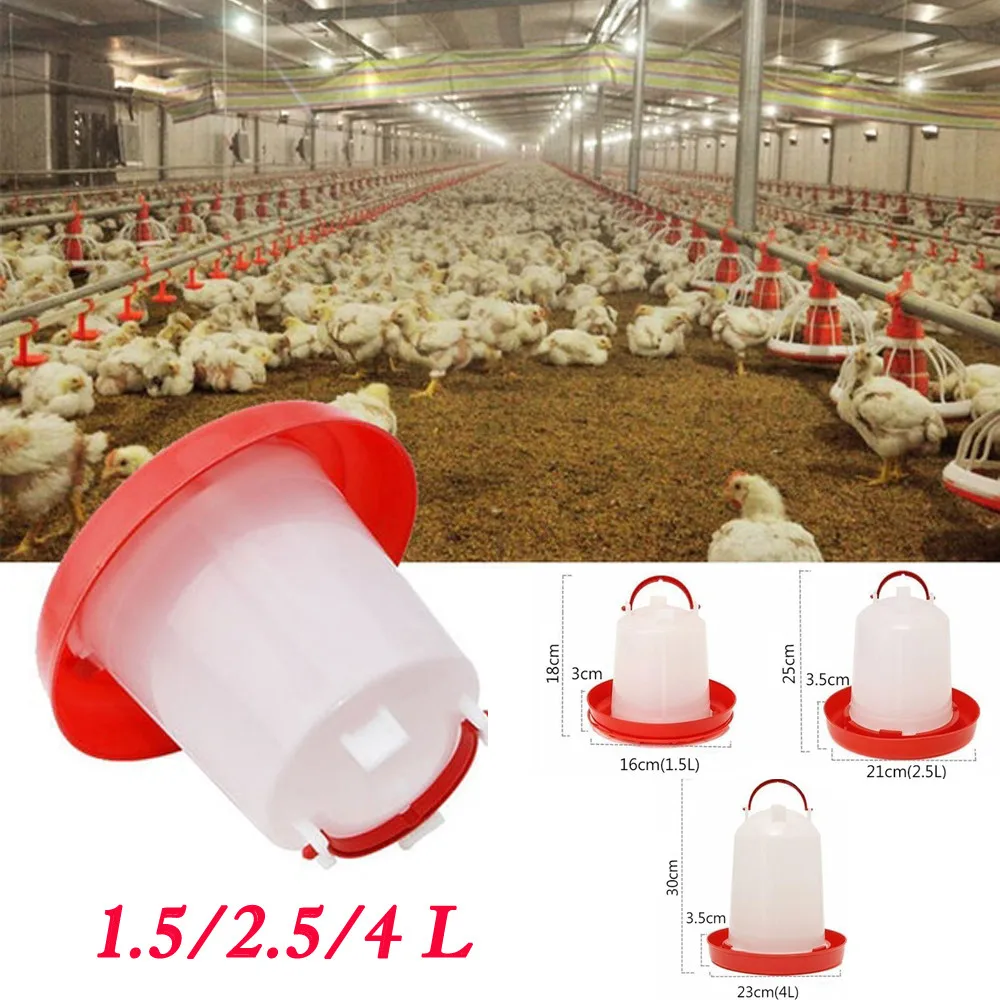 Chicken Feeder Drinker Poultry Chick Hen Quail Bantam Food Water 2.5L/4L_DM Chicken Feeder Drinker Poultry Chick Hen Quail Bantam Food Water 2.5L/4L_DM