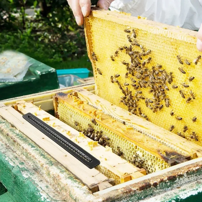 12 ПАК-жук бластерные ловушки для естественного ловли маленьких улей жуков пчелы ульи без использования каких-либо химических веществ или Pestici