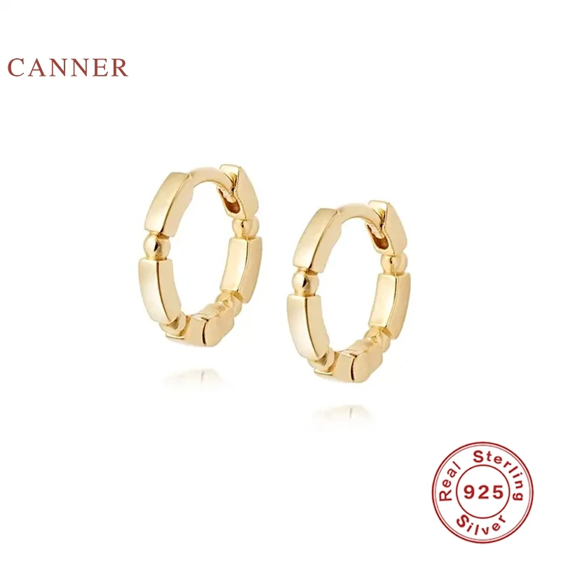 

CANNER Mini Wild Earrings Hoops 925 Sterling Silver Earrings For Women Silver Jewelry Earring Pendientes Aretes De Mujer