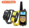 For 2 dogs Yellow