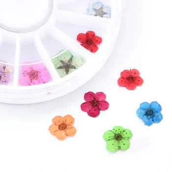 

Beautiful 24Pcs 3d Nail Dried Flowers Nail Art Decoration DIY Real Preserved Flowers Nails Rhinestones for Manicure Tools