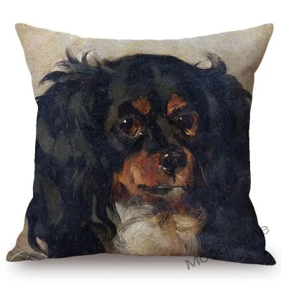 conew_n387 (47) 副本