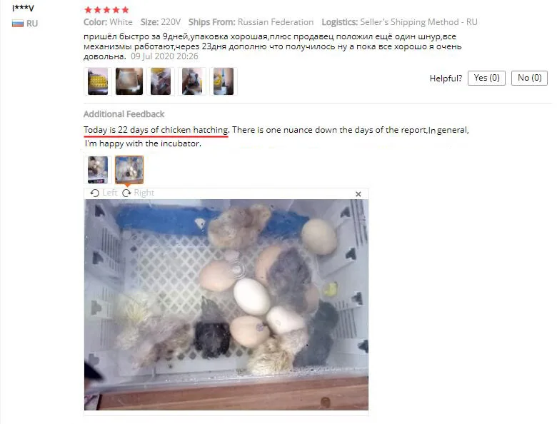 24egg incubator2jpg